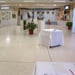 Les peintres des capitelles