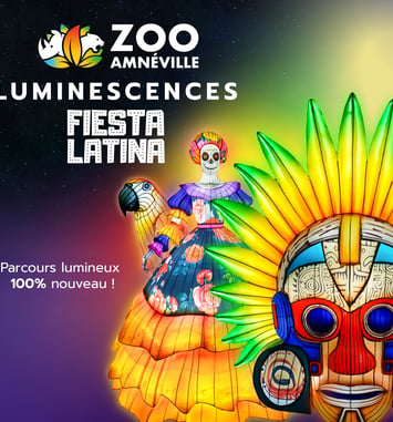 Luminescences 2025 Amnéville