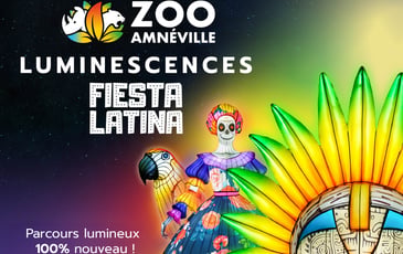 Luminescences
