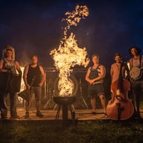 Steve'n'Seagulls