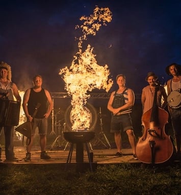 Steve'n'Seagulls