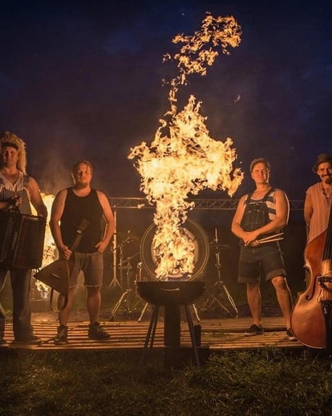 Steve'n'Seagulls