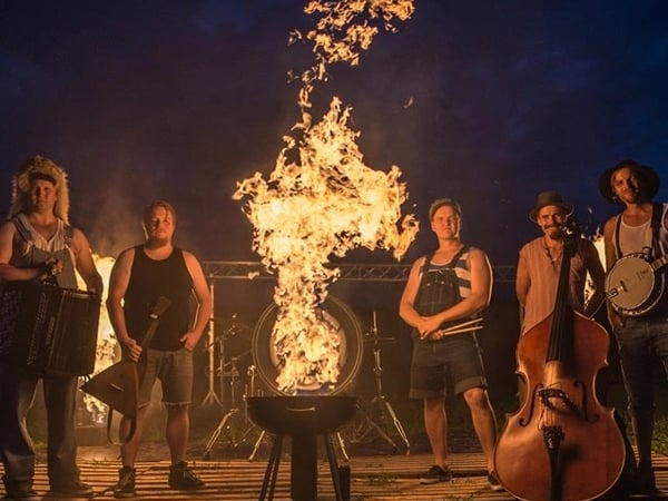 Steve'n'Seagulls