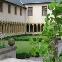 Visite libre des jardins de plantes médicinales et des plantes toxiques du cloître des Récollets à Metz