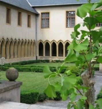 Visite libre des jardins de plantes médicinales et des plantes toxiques du cloître des Récollets à Metz