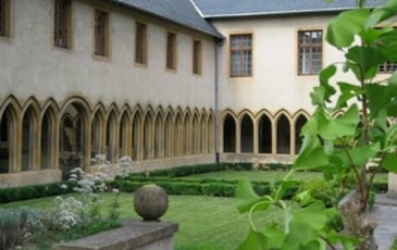 Visite libre des jardins de plantes médicinales et des plantes toxiques du cloître des Récollets à Metz