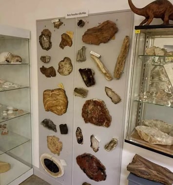 Découvrez les secrets géologiques de notre Terre
