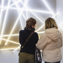 Visite libre de l'exposition "François Morellet. 100 pour cent"