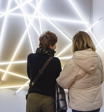 Visite libre de l'exposition "François Morellet. 100 pour cent"