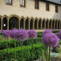 Visite guidée des jardins de plantes médicinales, des plantes toxiques et de l'Apothicarium du cloître des Récollets