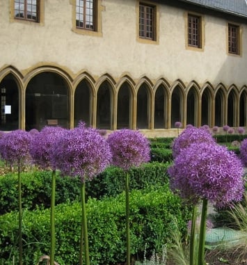 Visite guidée des jardins de plantes médicinales, des plantes toxiques et de l'Apothicarium du cloître des Récollets