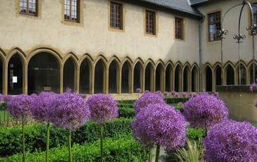 Visite guidée des jardins de plantes médicinales, des plantes toxiques et de l'Apothicarium du cloître des Récollets