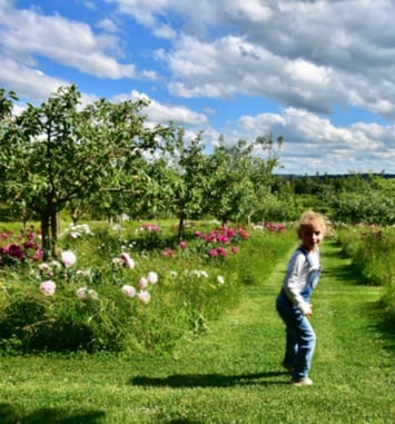 Chasse au trésor, à l'école de la nature