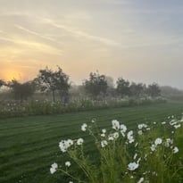 Promenade aux Jardins