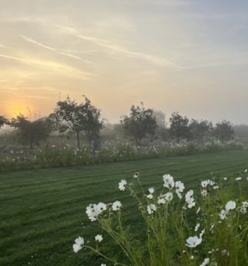 Promenade aux Jardins