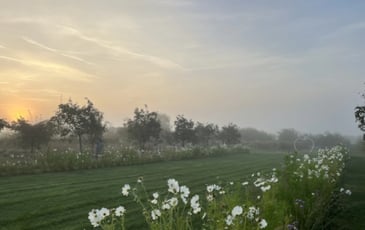 Promenade aux Jardins