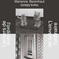 Visite guidée entre patrimoine et art contemporain