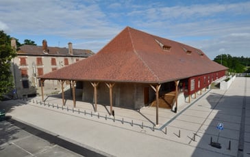 Visite guidée des Salines Royales de Dieuze