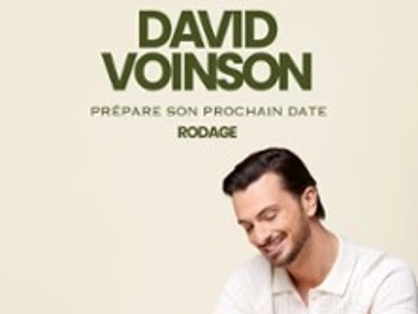 David Voinson, Avant nous
