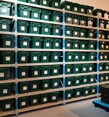 Visite exceptionnelle des réserves du musée