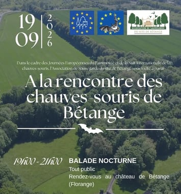 A la découverte des chauves-souris de Bétange