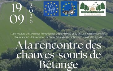 A la découverte des chauves-souris de Bétange