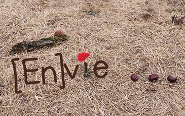 [En]vie...