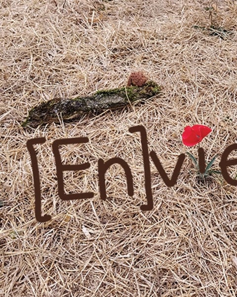 [En]vie...