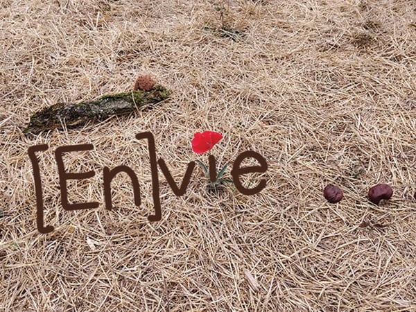 [En]vie...