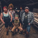 Steve 'n' Seagulls
