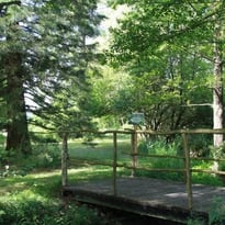 Visite commentée de l'arboretum d'une authentique maison du XVIIème siècle