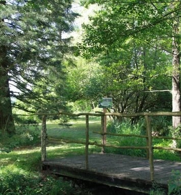Visite commentée de l'arboretum d'une authentique maison du XVIIème siècle