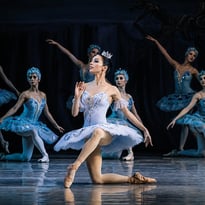La Belle au Bois Dormant