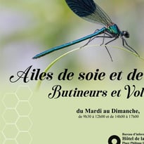 Exposition - Ailes de soie et de sel, butineurs et voltigeurs