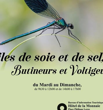 Exposition - Ailes de soie et de sel, butineurs et voltigeurs