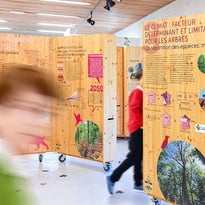 Exposition - Les forêts du Grand Est à l'épreuve du changement climatique