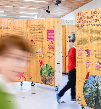 Exposition - Les forêts du Grand Est à l'épreuve du changement climatique