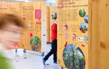 Exposition - Les forêts du Grand Est à l'épreuve du changement climatique