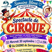 Spectacle de Cirque