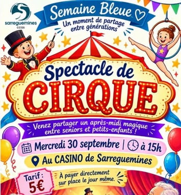 Spectacle de Cirque