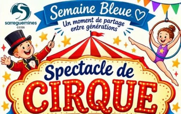 Spectacle de Cirque