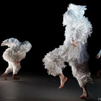 Danse - A4 (comme la feuille)