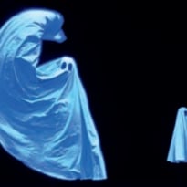 Pillowgraphies