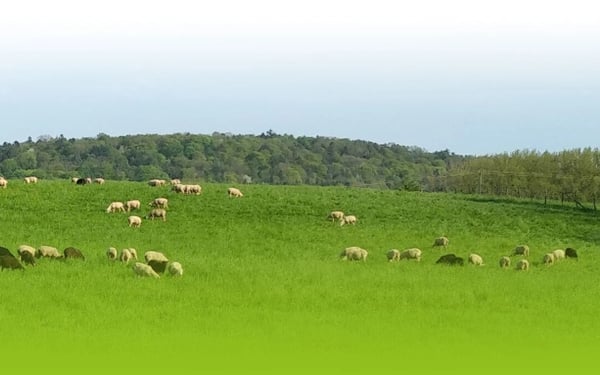 Ferme du Chambeyron