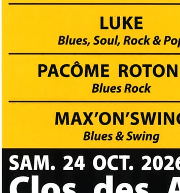Dieb'Rock & Blues Festival