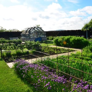 Jardins fruitiers de Laquenexy