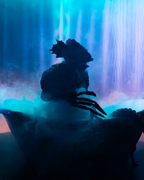 Spectacle - L'homme poisson