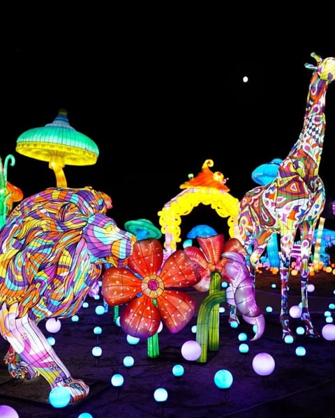 Festival Luminescences « Le monde  est une fête »