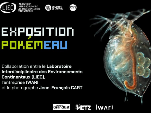 Exposition - PokémEAU