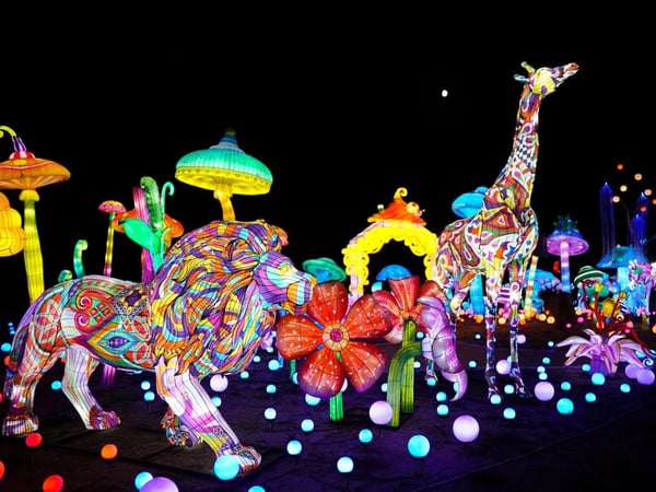 Festival Luminescences
